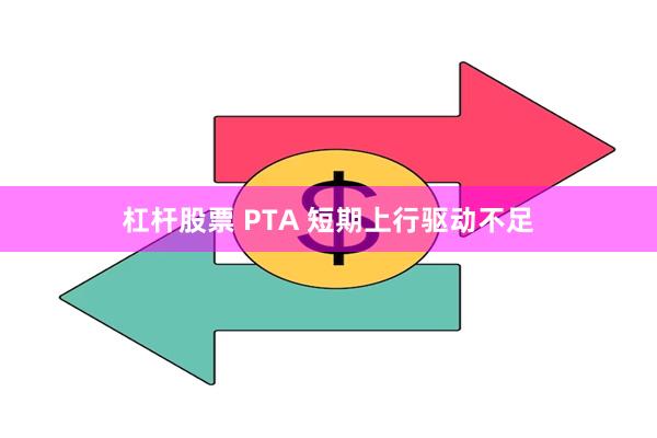 杠杆股票 PTA 短期上行驱动不足