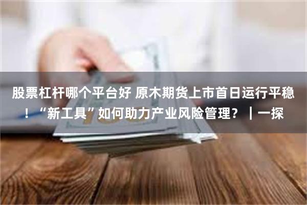 股票杠杆哪个平台好 原木期货上市首日运行平稳！“新工具”如何