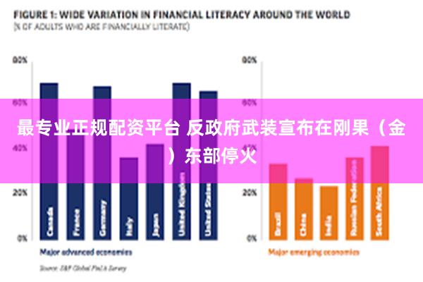 最专业正规配资平台 反政府武装宣布在刚果（金）东部停火