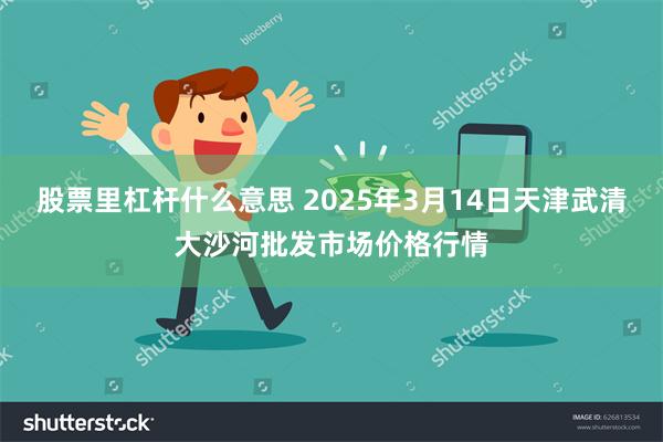 股票里杠杆什么意思 2025年3月14日天津武清大沙河批发市